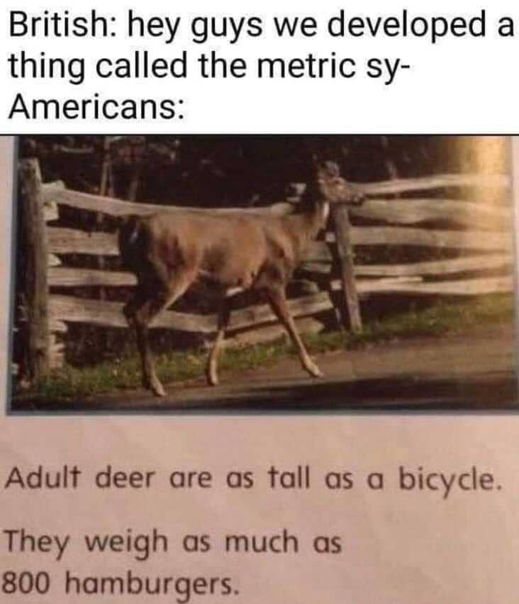 27 Examples That Show Americans Will Measure With Anything But The Metric  System. | The Language Nerds